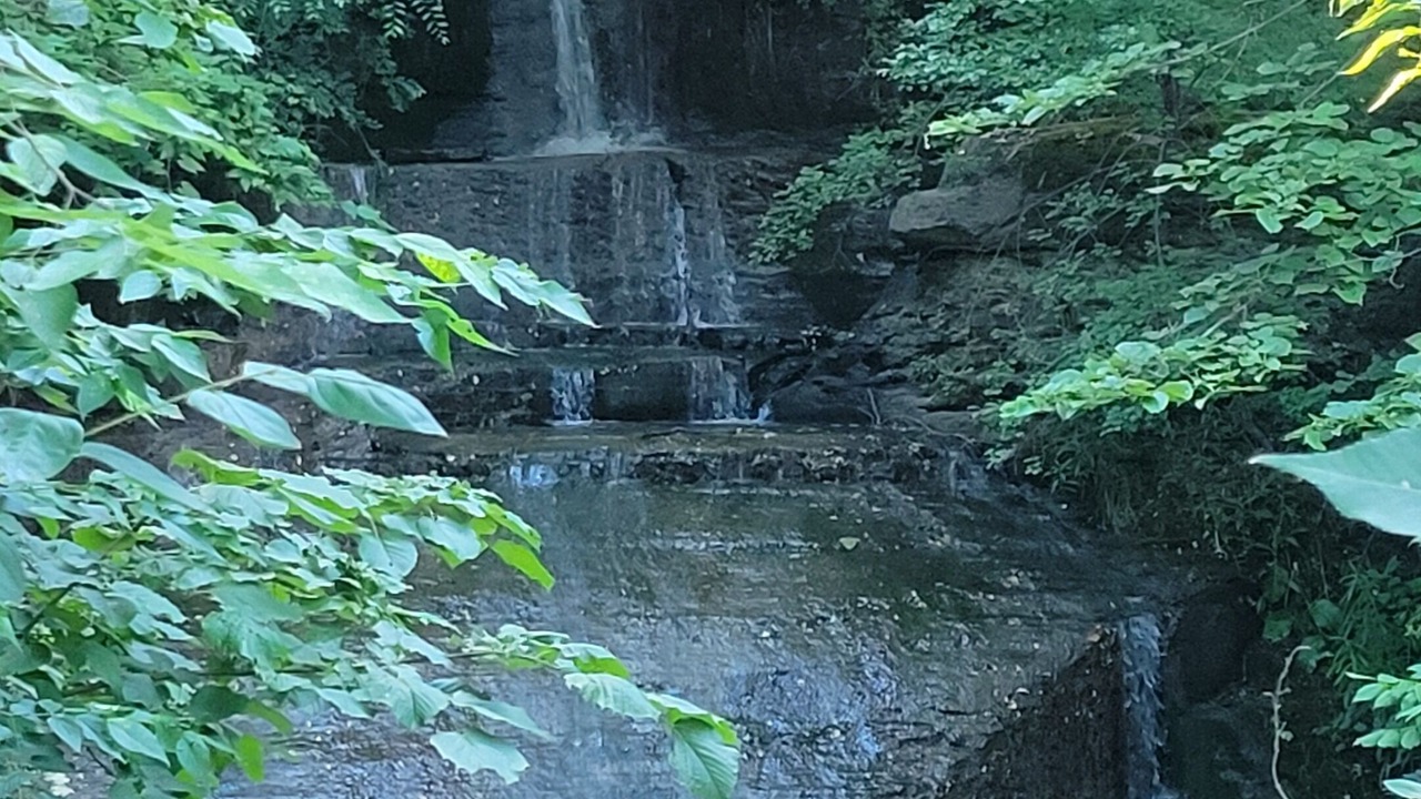 Photo of Others in Northwest Ithaca