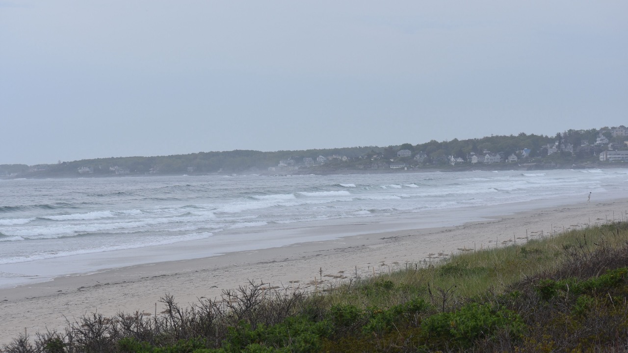 Photo of Others in Ogunquit
