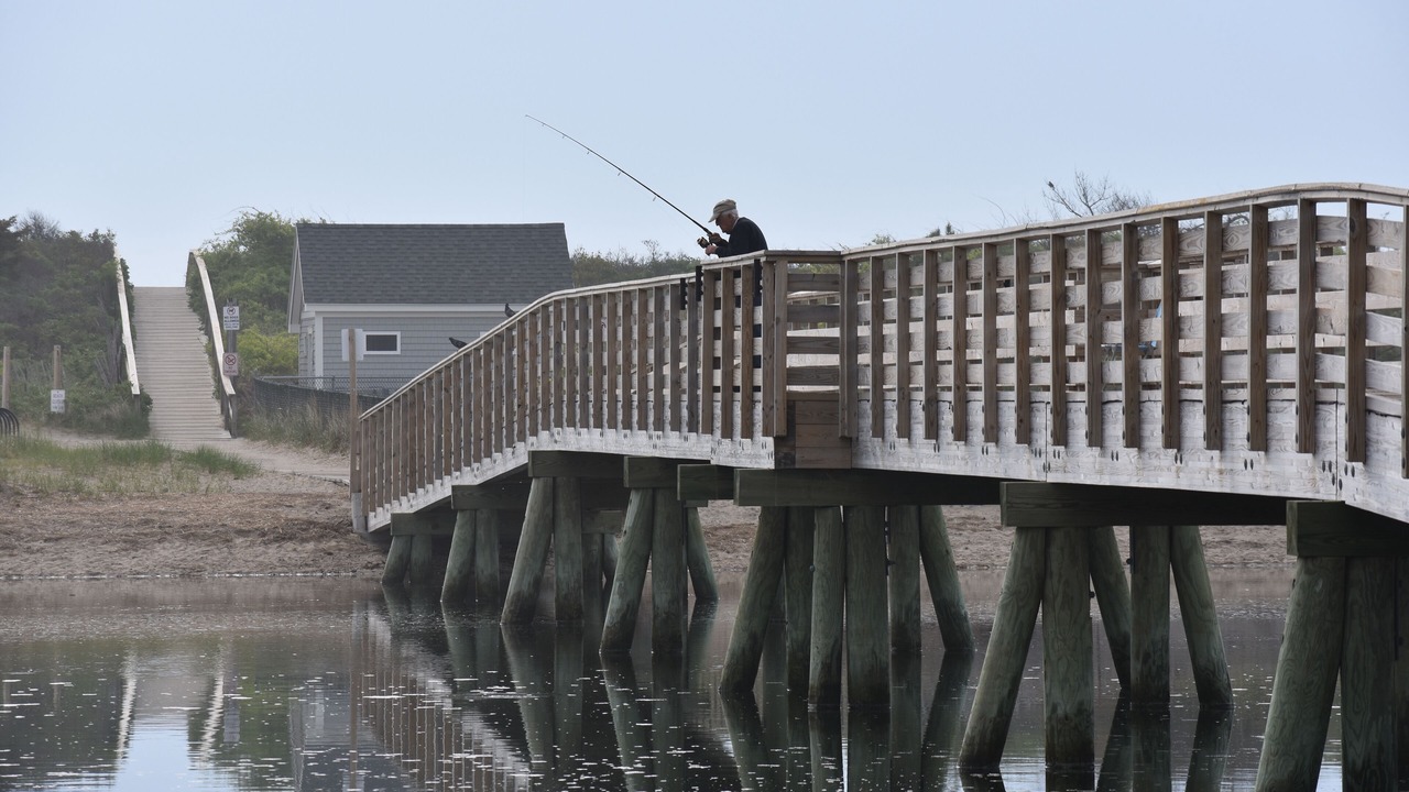 Photo of Others in Ogunquit