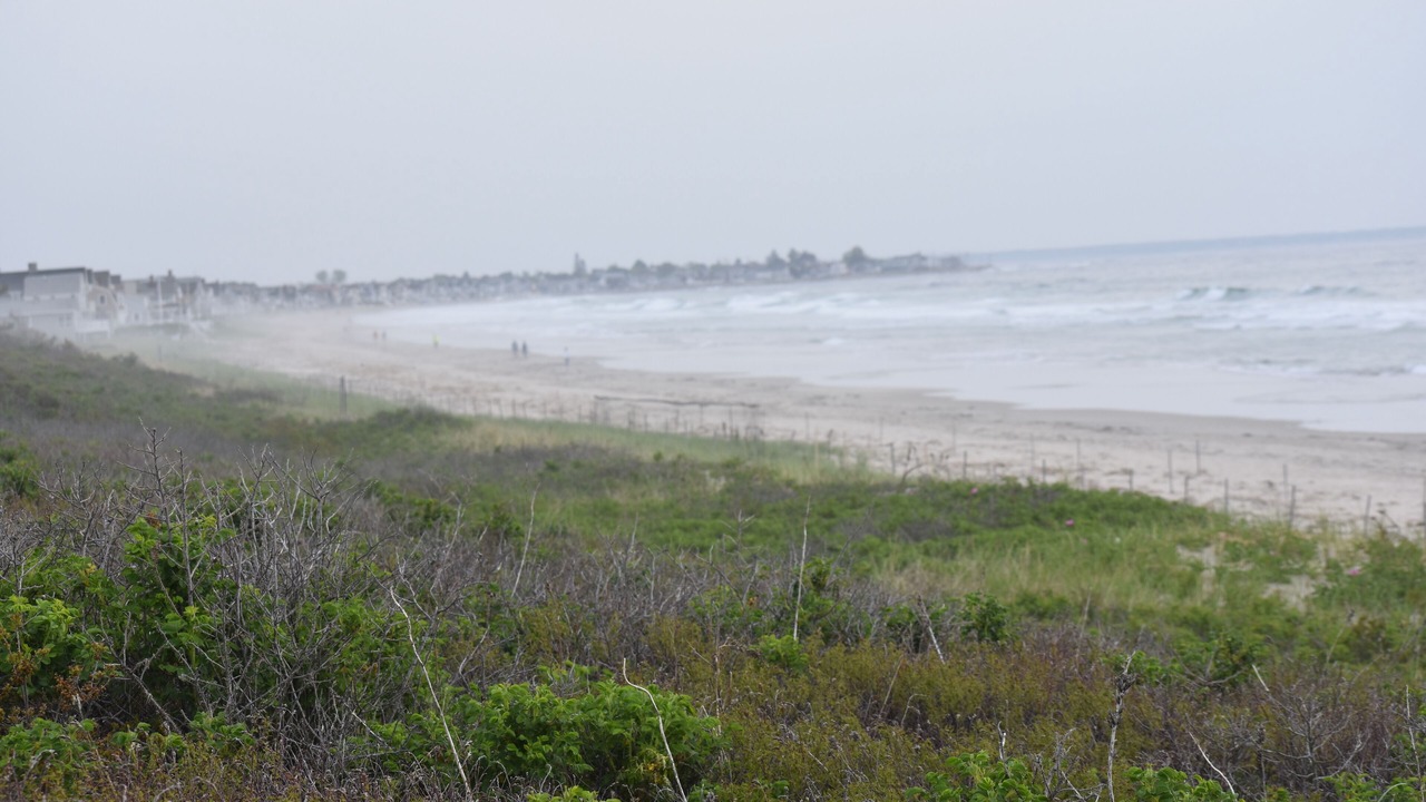 Photo of Others in Ogunquit