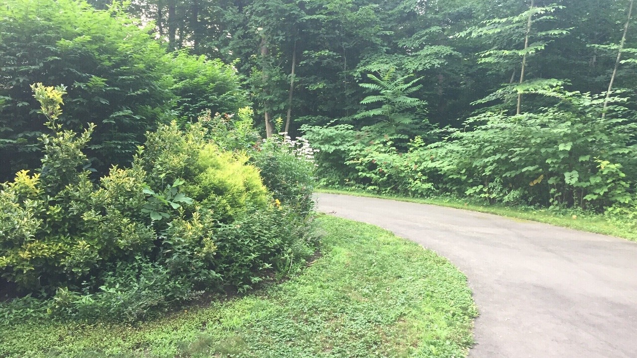 Photo of Outdoor in North Branford