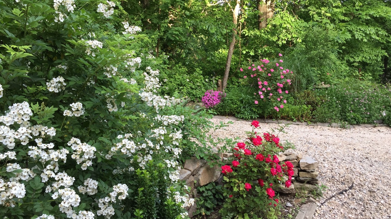 Photo of Outdoor in North Branford