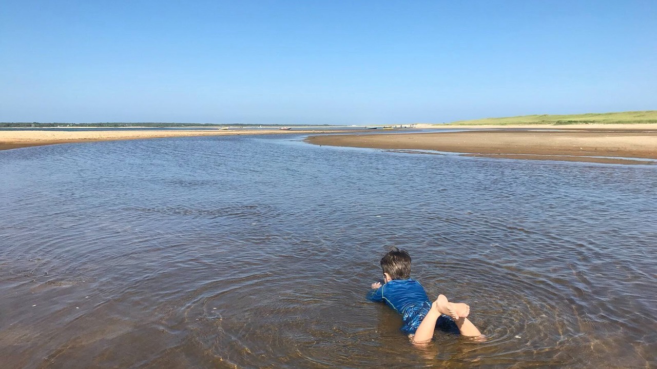 Photo of Others in West Tisbury
