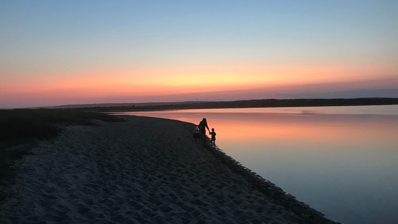 Photo of Outdoor in West Tisbury