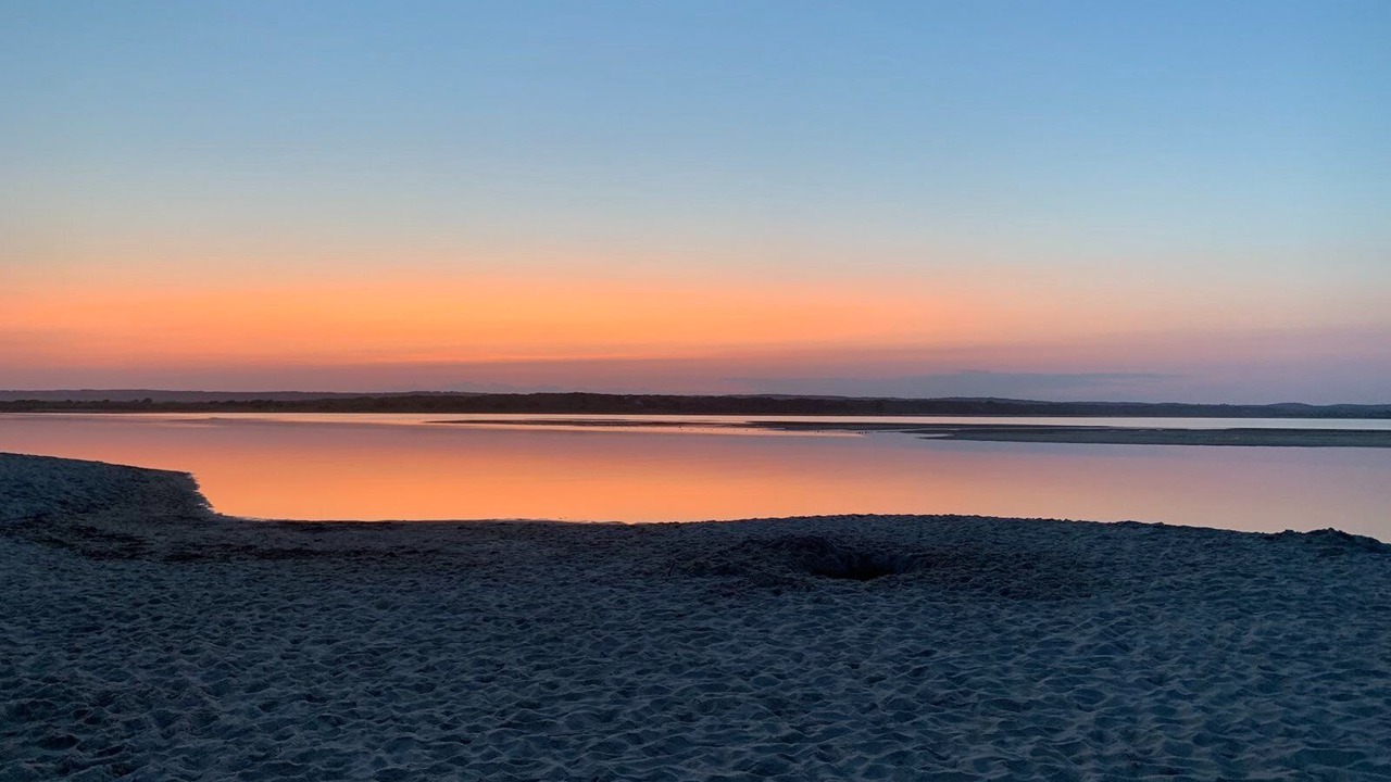 Photo of Others in West Tisbury