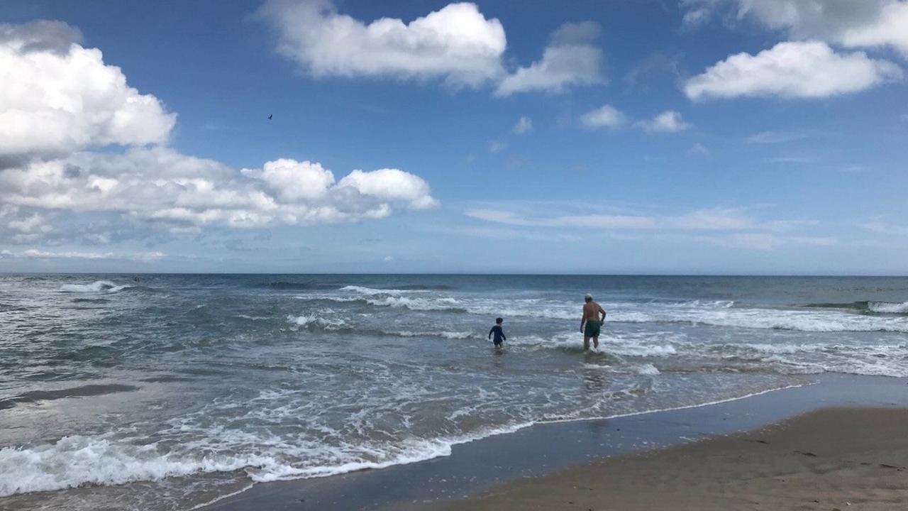 Photo of Others in West Tisbury