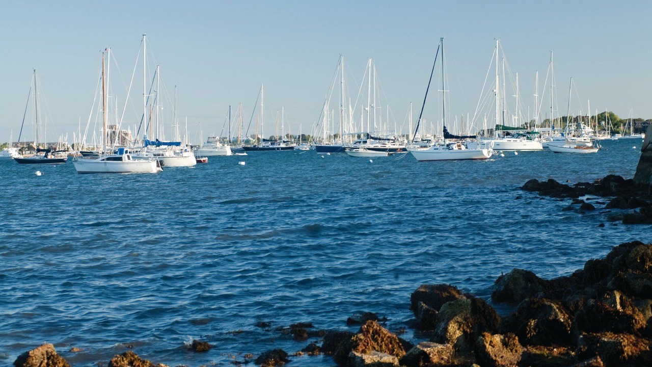 Photo of Others in Yachting Village