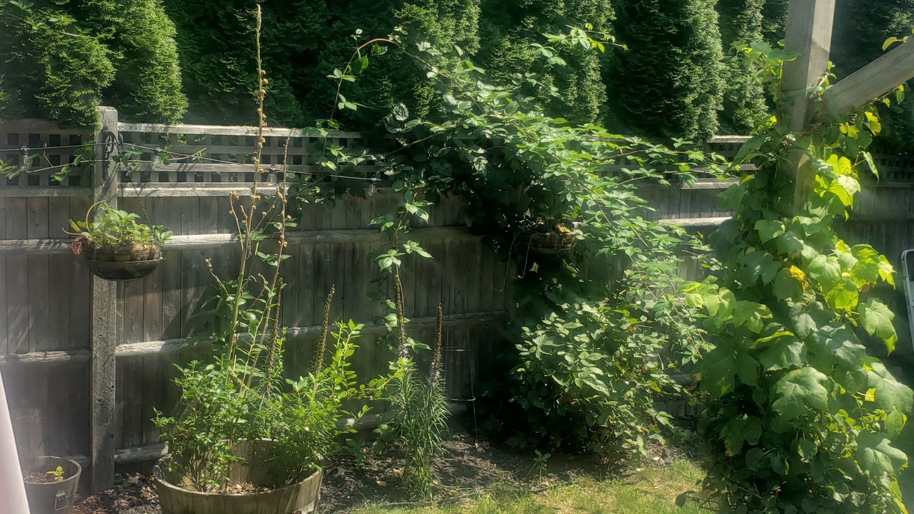 Photo of Outdoor in Westerly