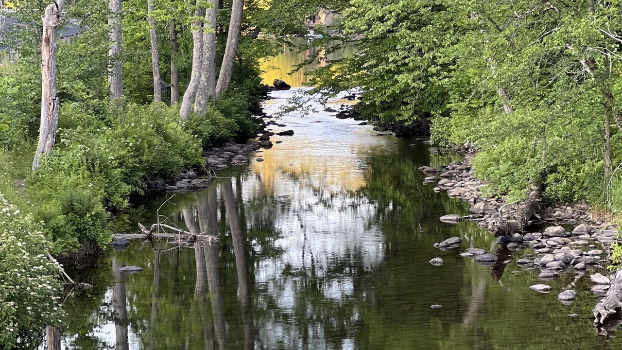 Photo of Outdoor in Ludlow