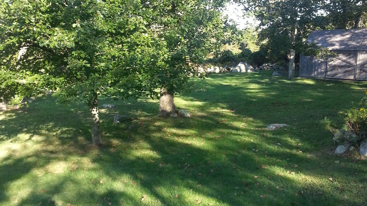 Photo of Outdoor in Chilmark