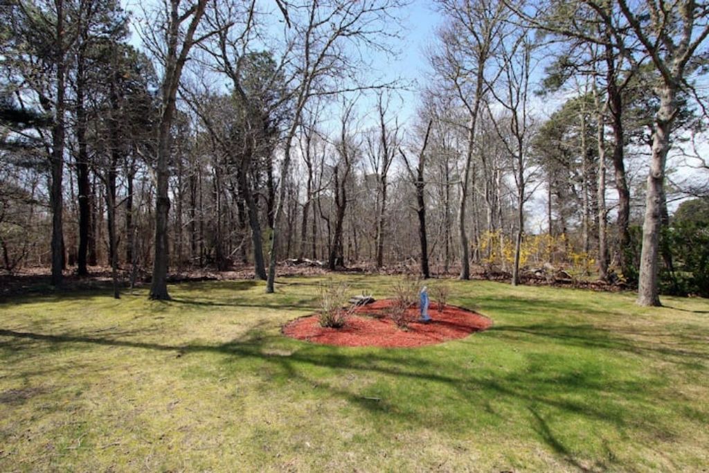 Photo of Outdoor in Dennis