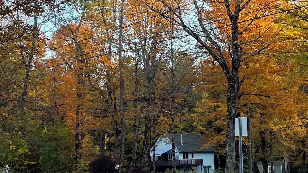 Photo of Outdoor in Otis