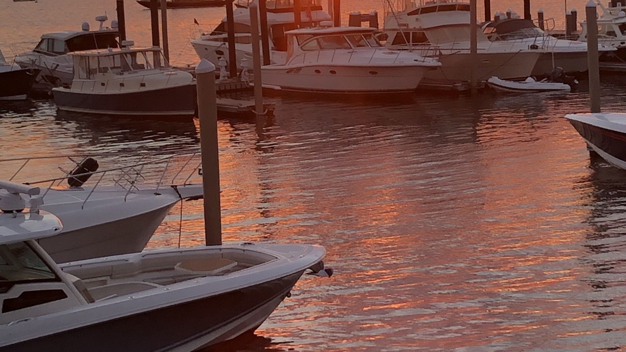 Photo of Others in Yachting Village