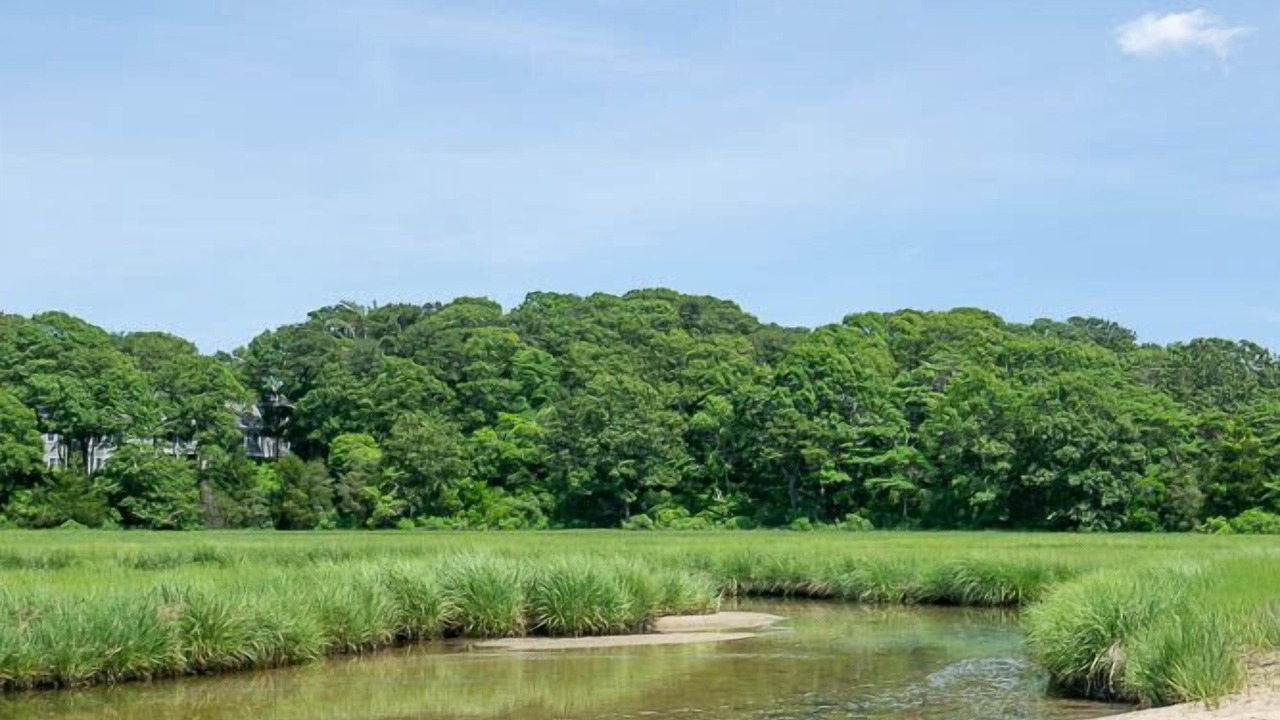 Photo of Others in Waquoit Village