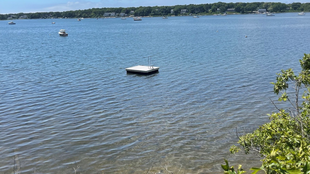Photo of Others in Waquoit Village