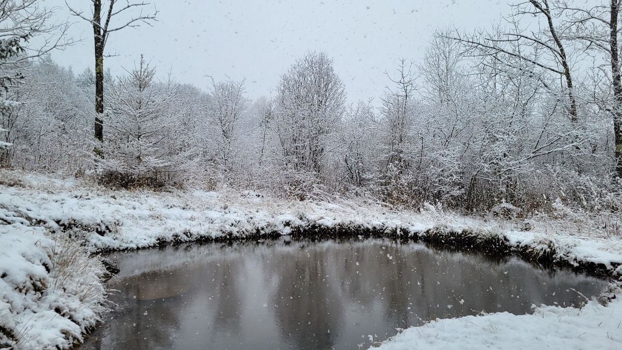 Photo of Others in Town of Conesville