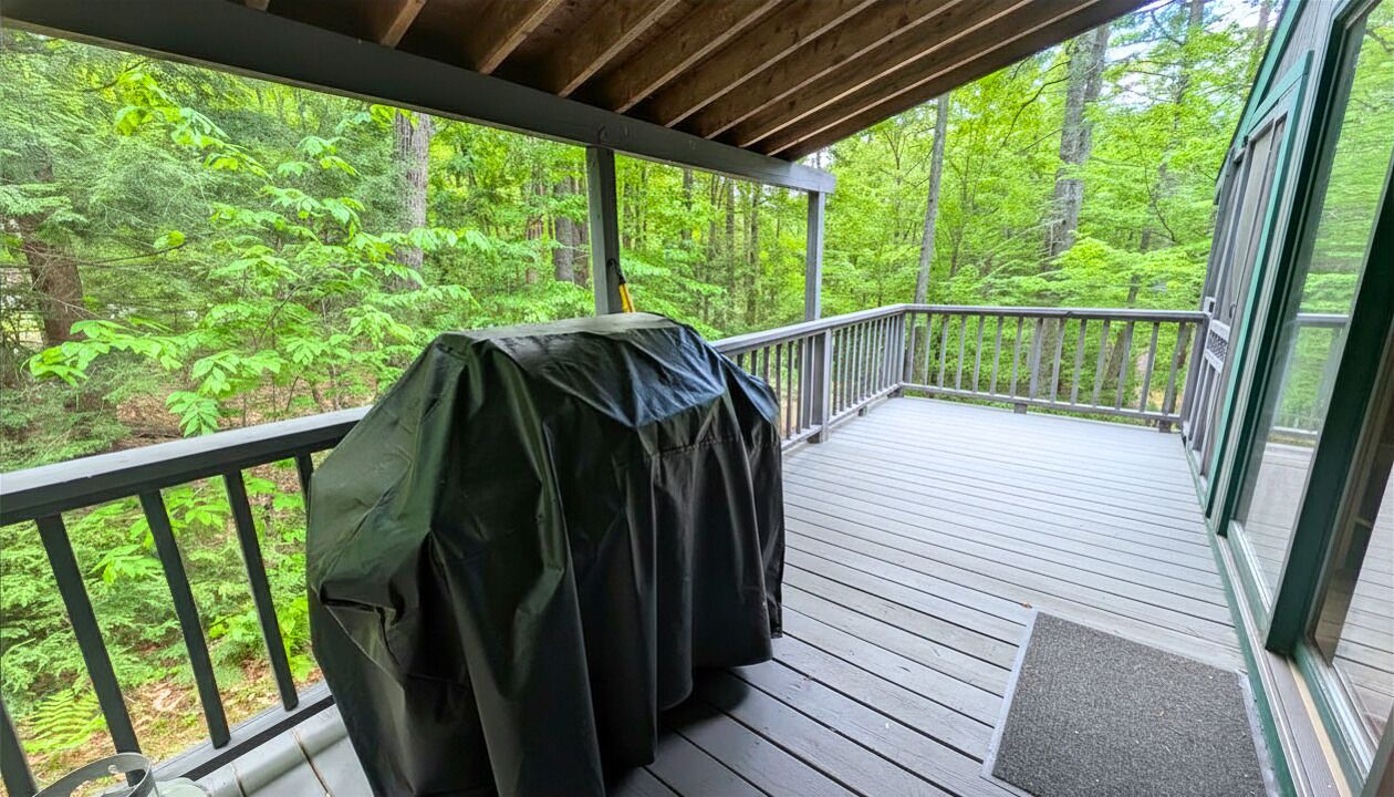 Photo of Patio Balcony in Eidelweiss Village