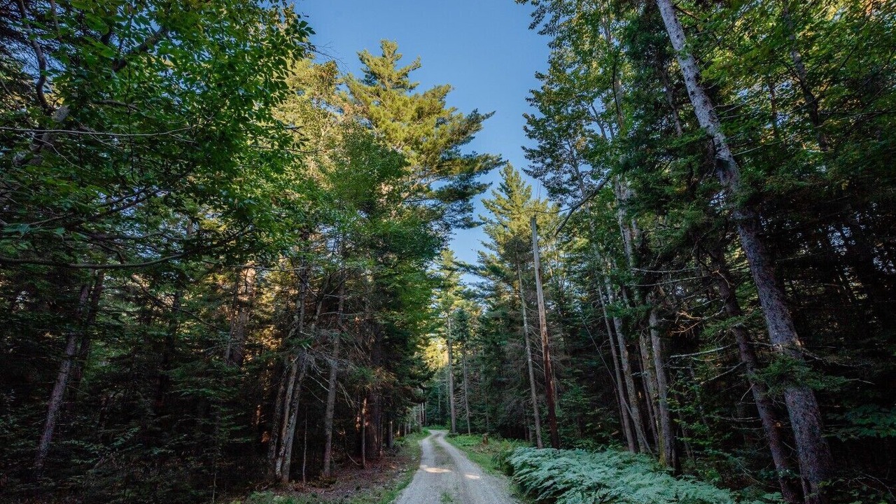 Photo of Others in Stratton
