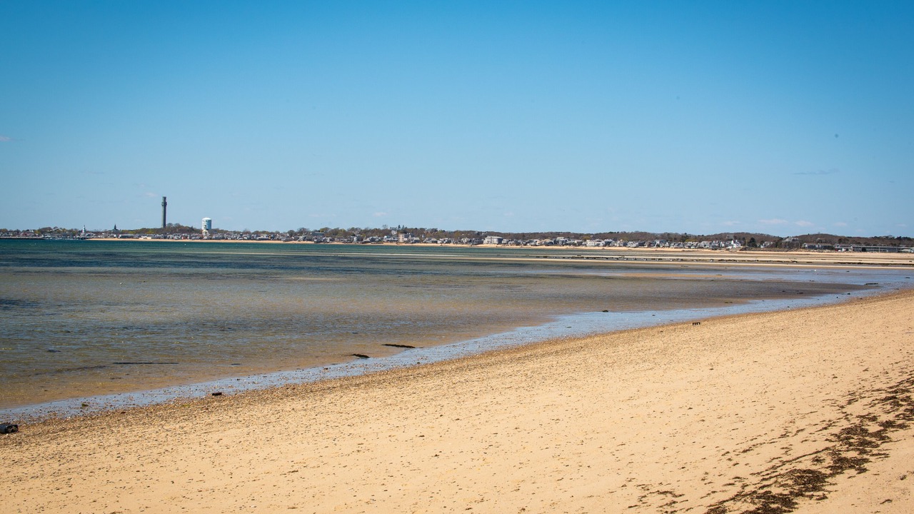 Photo of Others in North Truro