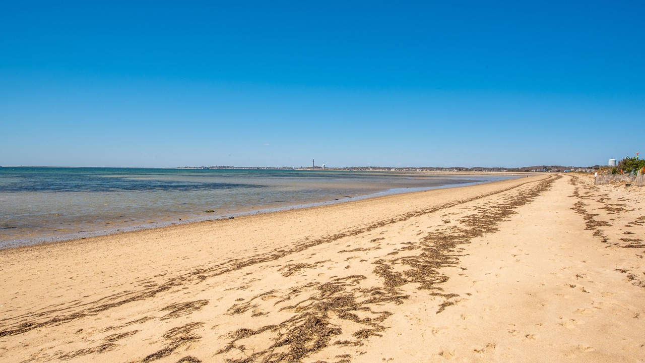 Photo of Others in North Truro