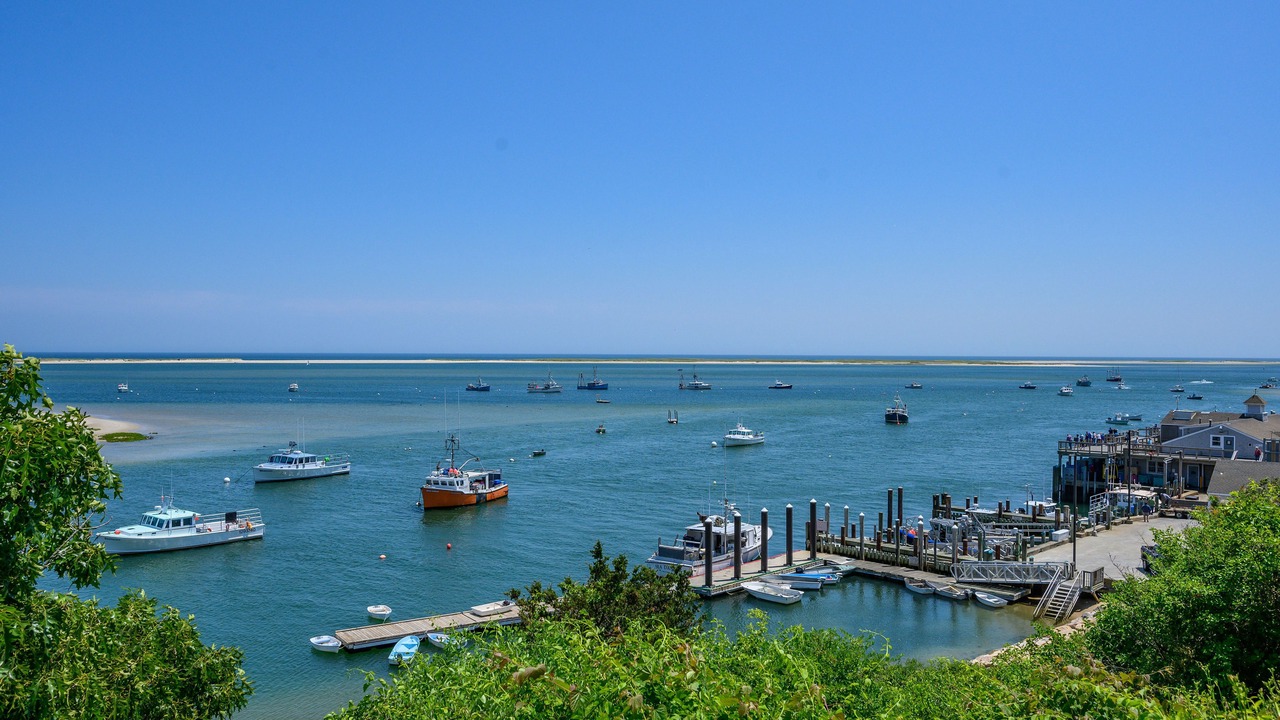 Photo of Others in Chatham