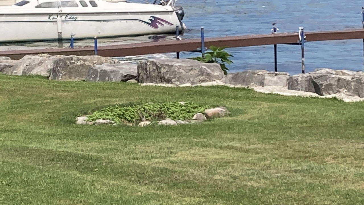 Photo of Others in Honeoye