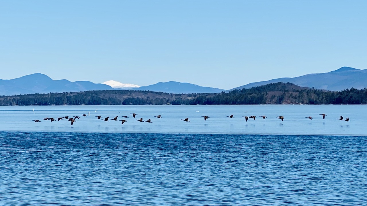 Photo of Others in Gilford