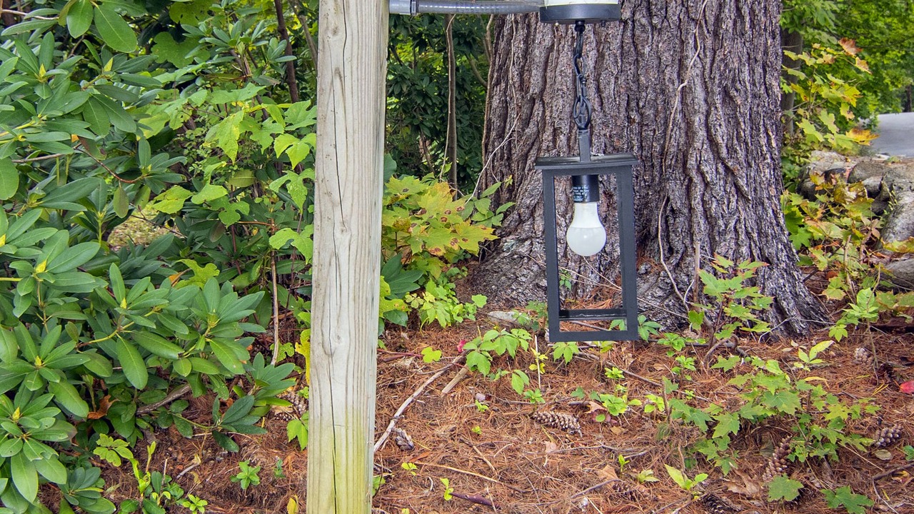 Photo of Outdoor in Lake George