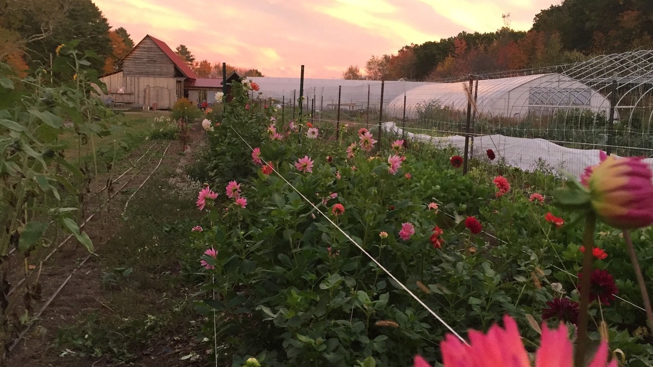 Photo of Outdoor in Kennebunkport