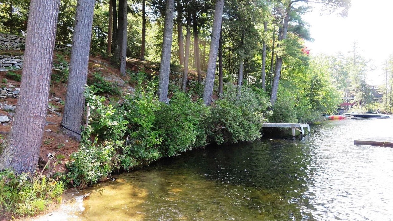 Photo of Outdoor in Laconia