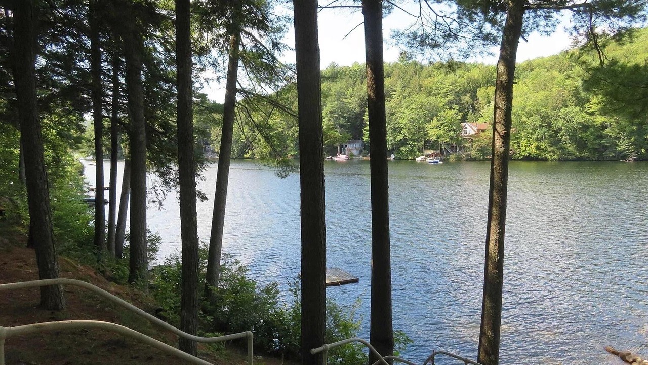 Photo of Others in Laconia