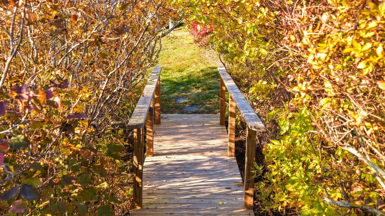 Photo of Others in Chilmark