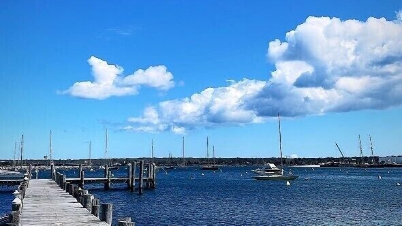 Photo of Others in West Tisbury