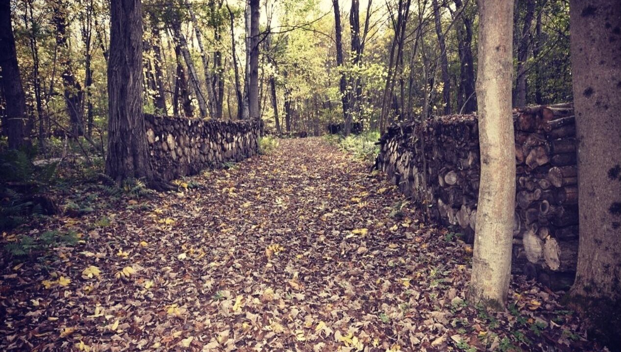 Photo of Outdoor in Pittsfield