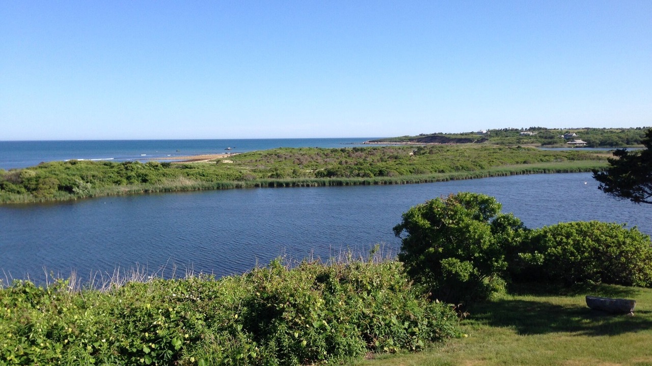 Photo of Others in Chilmark