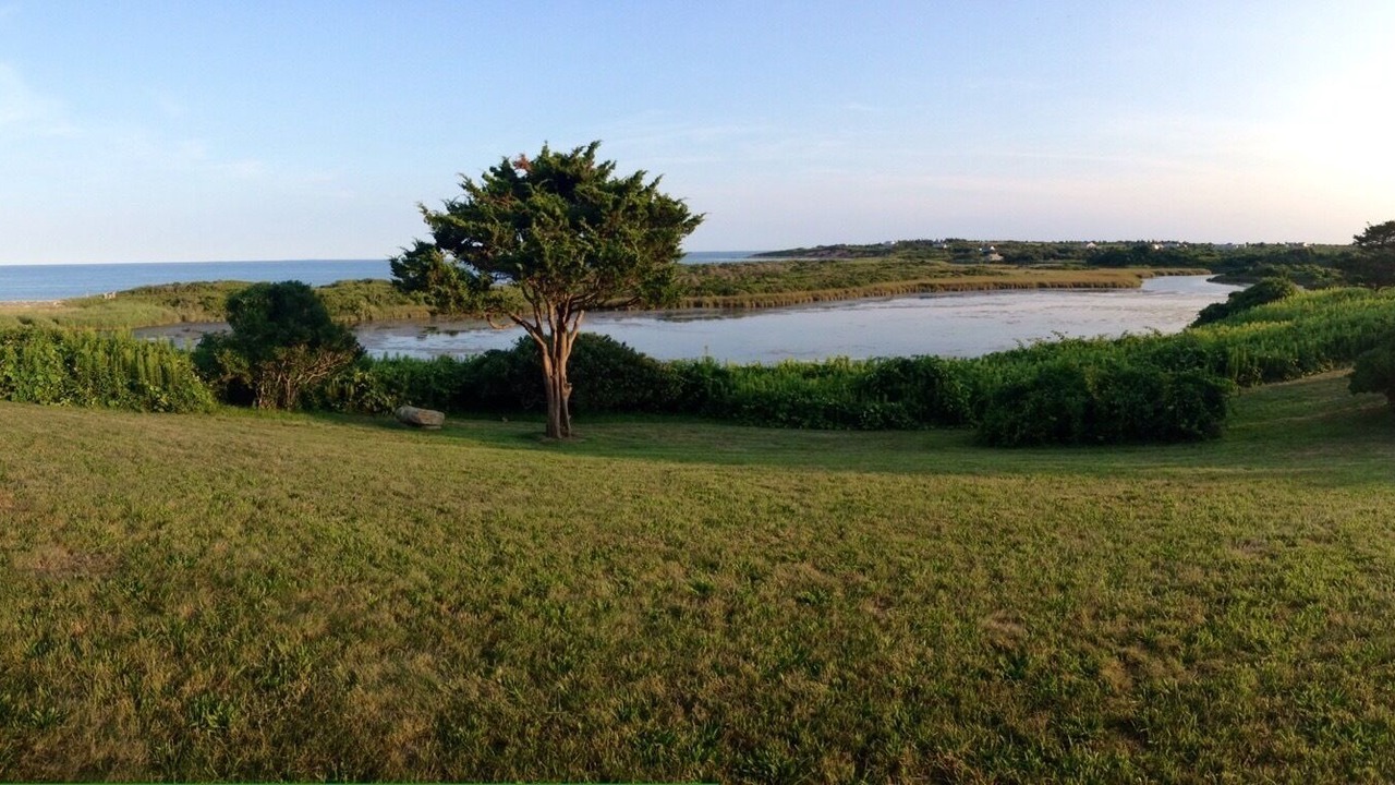 Photo of Others in Chilmark