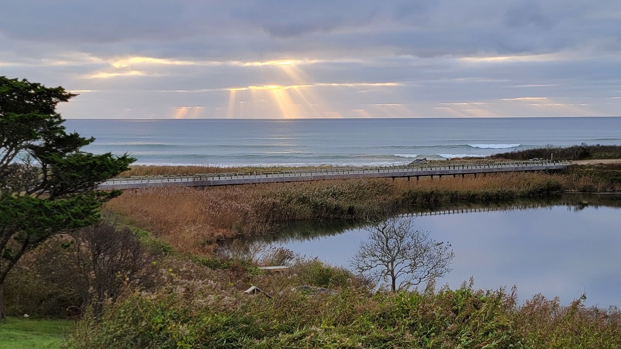 Photo of Others in Chilmark