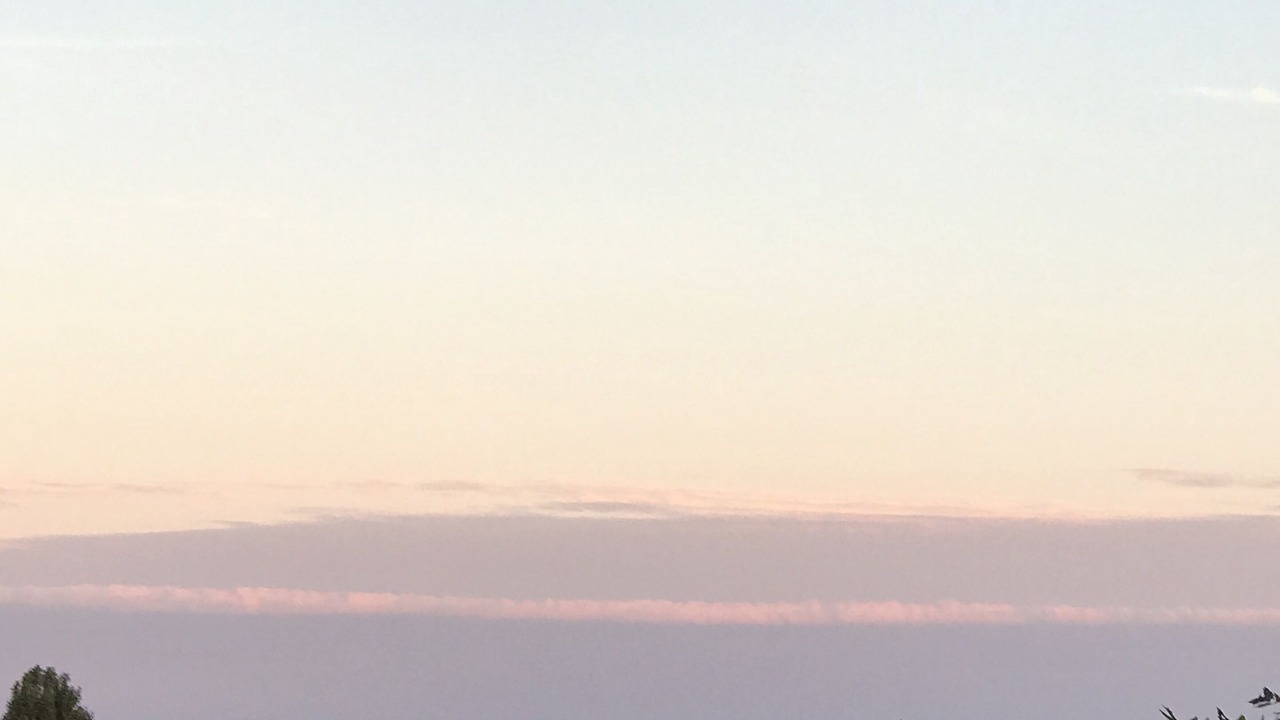 Photo of Others in Provincetown