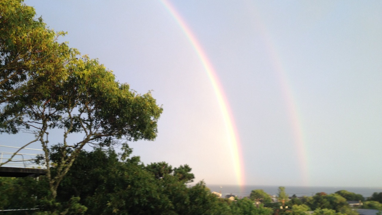 Photo of Others in Provincetown