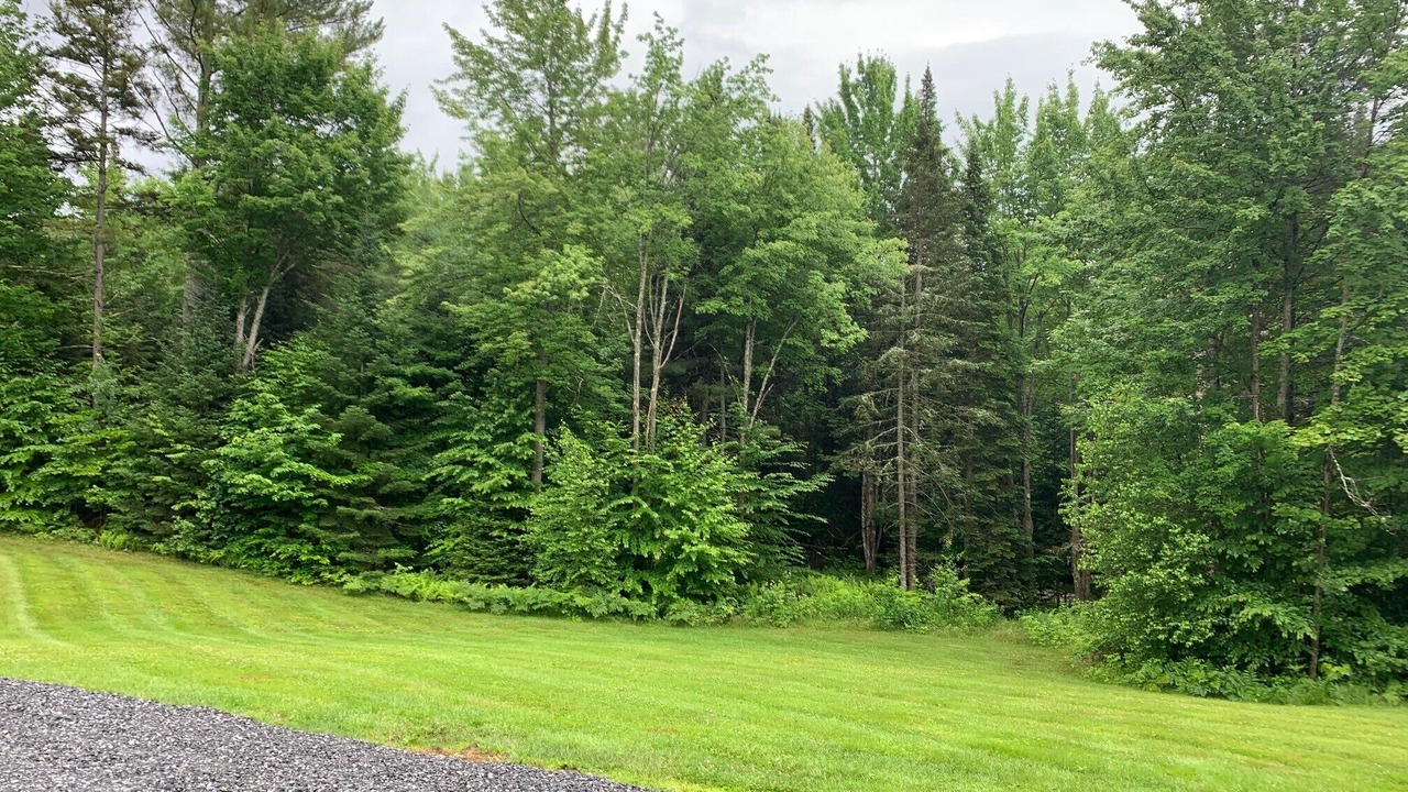 Photo of Outdoor in Eden
