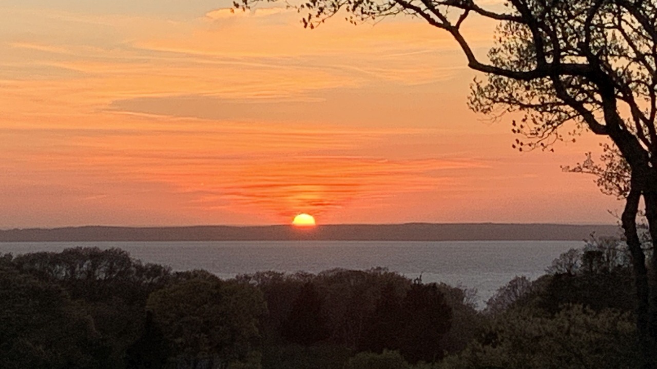Photo of Others in West Tisbury