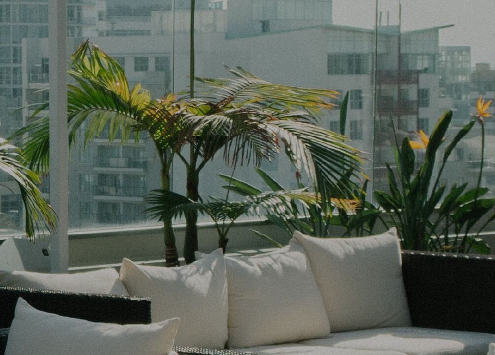 Photo of Outdoor in West End