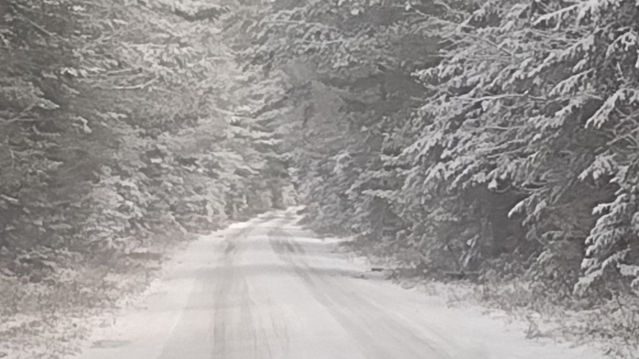 Photo of Others in Forestport