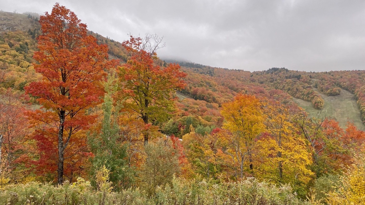 Photo of Others in Killington