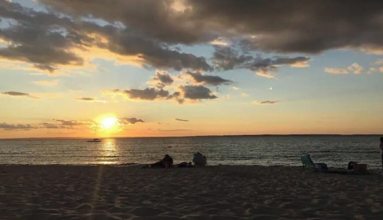 Photo of Others in West Tisbury