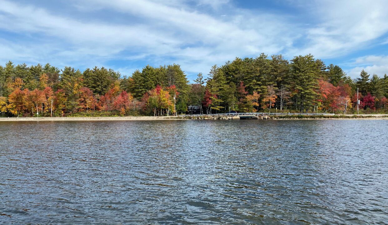 Photo of Others in Wolfeboro