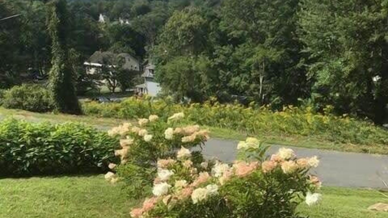 Photo of Outdoor in Lee
