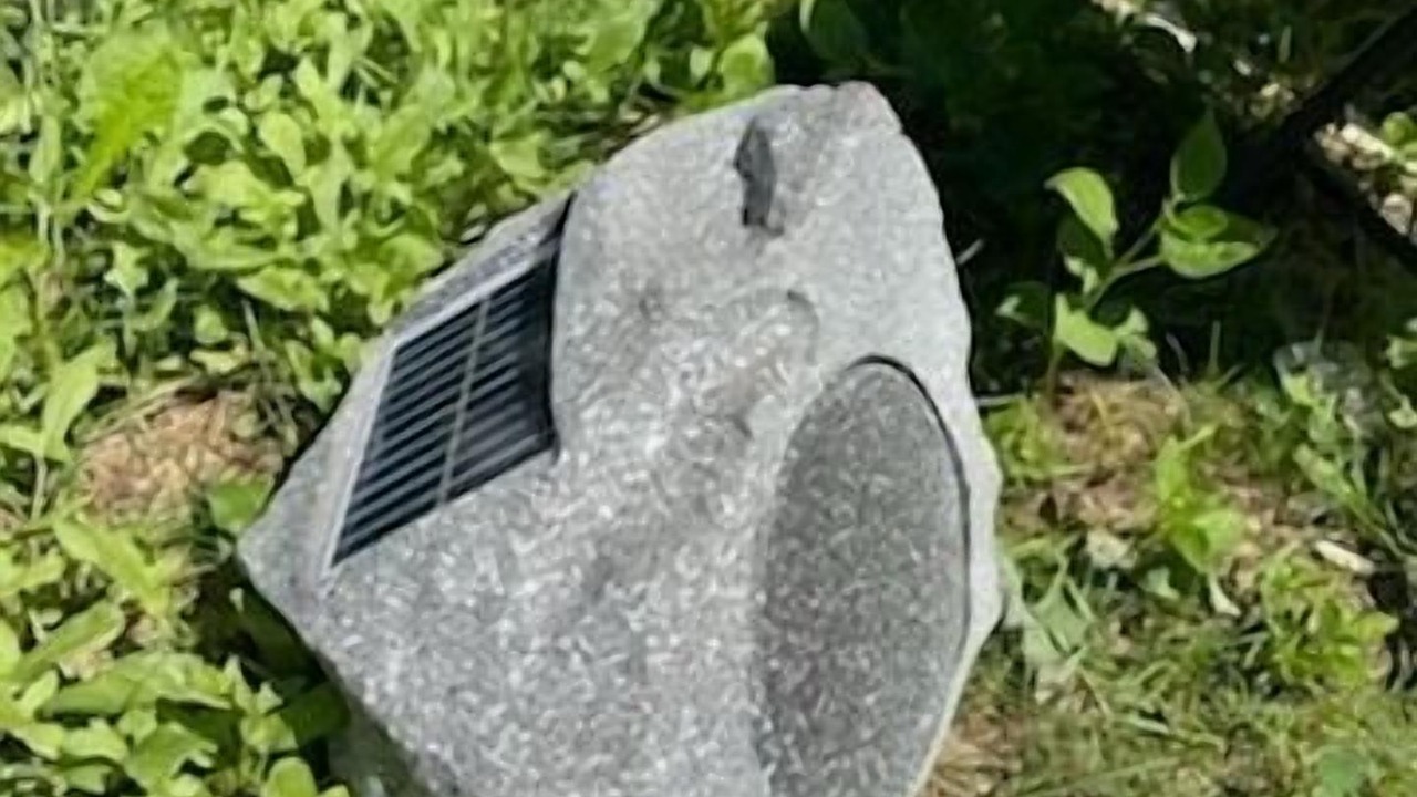 Photo of Outdoor in Hampton