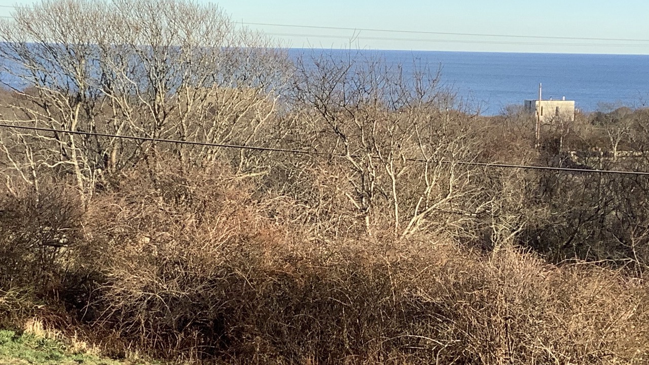 Photo of Outdoor in Block Island
