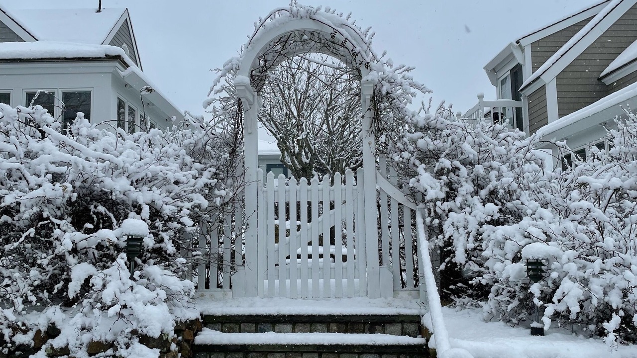 Photo of Others in Mashpee